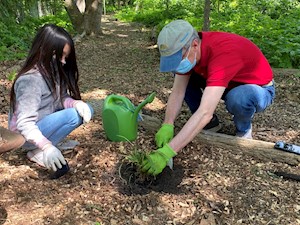Dane County Executive, Joe Parisi, helps a student at Lake View Elementary plant a native plant that the school received from the free plants program